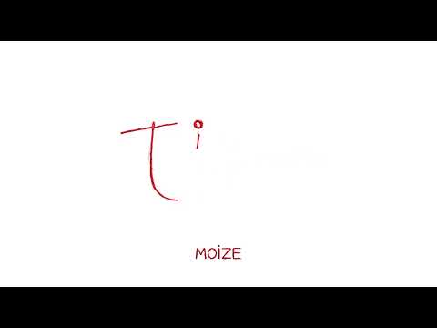 MOIZE - TIE