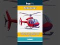 helicopter (noun) - definition and usage in English