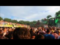 Steve Aoki at Tomorrowland Belgium 2016