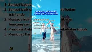 Download lagu Manfaat menghisap puting Payudara Istri . #edukasi #tips mp3