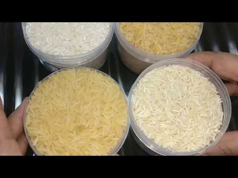 Difference between gold rice and white rice