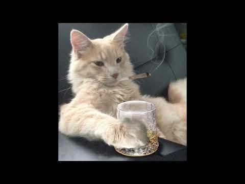 tangos der pakistani - Robzzz Remix