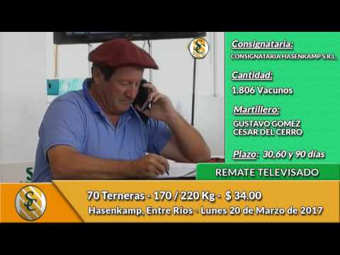20-03-17 - Venta de Invernada - Remate Televisado Consignataria Hasenkamp