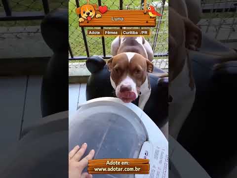Vídeo de Luna