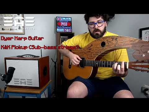 Elite Acoustics EAE A4-58 (Open Box) 120 W Acoustic Amp with Bluetooth and Lithium Battery - WOOD image 7