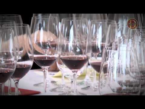 DWWA: Judging week 2011