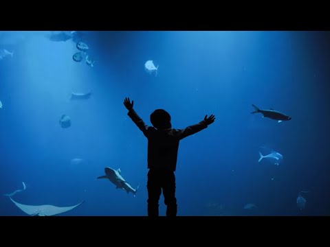 Jovem Dionisio - Pontos de Exclamação (Vintage Culture & Future Class Remix)