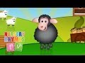 BAA BAA BLACK SHEEP | Nursery Rhymes TV ...