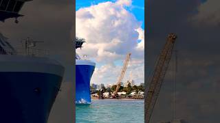 Celebrity Xcel 🛳️ #like #share #comment #subscribe #youtubeshorts #cruise #travel #shorts #yt #fun