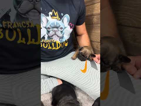Video 3