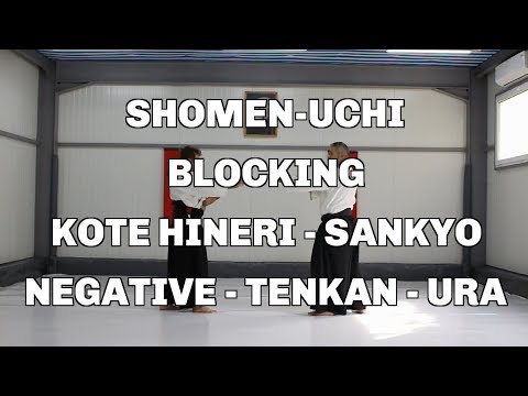 Shomen-Uchi, Blocking, Kote Hineri - Sankyo, Negative - Tenkan - Ura / Aikido techniques