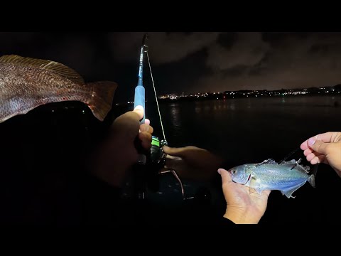 “We Did NOT Expect This Hookup…. Swan River Mulloway Mission!”