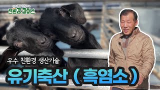 우수 친환경 생산기술, 지구도 살리고 건강을 위하는 친환경 파머스(해남)
