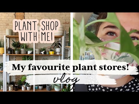 PLANT SHOP WITH ME VLOG! | *SO MANY PLANTS*