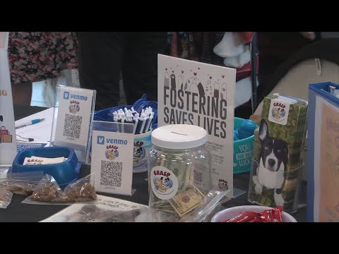 GRASP hosts free microchipping, adoption event - YouTube