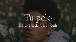 Tu pelo - La Oreja de Van Gogh [letra][lyrics]
