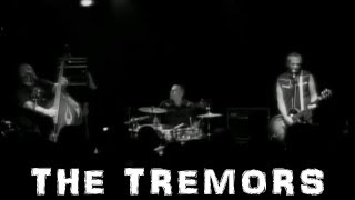 THE TREMORS 
