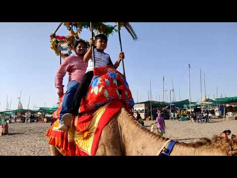 Camel ride at Somnath #Girvillagelife