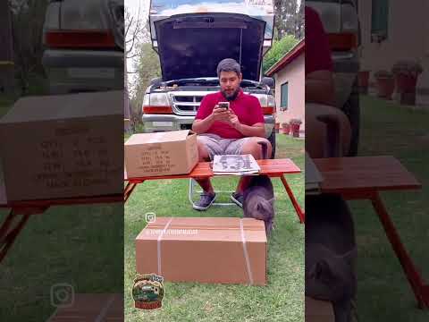 😽 Chico 🐈‍⬛ el gato supervisor❗️ #catshorts #mecanica #travel #turismo #vanlife #motor #gatos