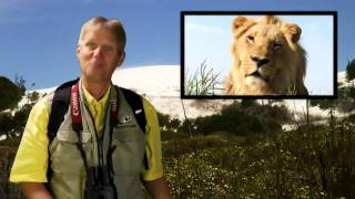 preview picture of video 'Travelling to Kruger Park as videographer / photographer'