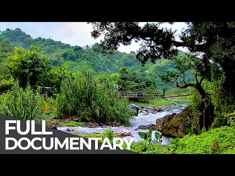 Somewhere on Earth: Jamaica