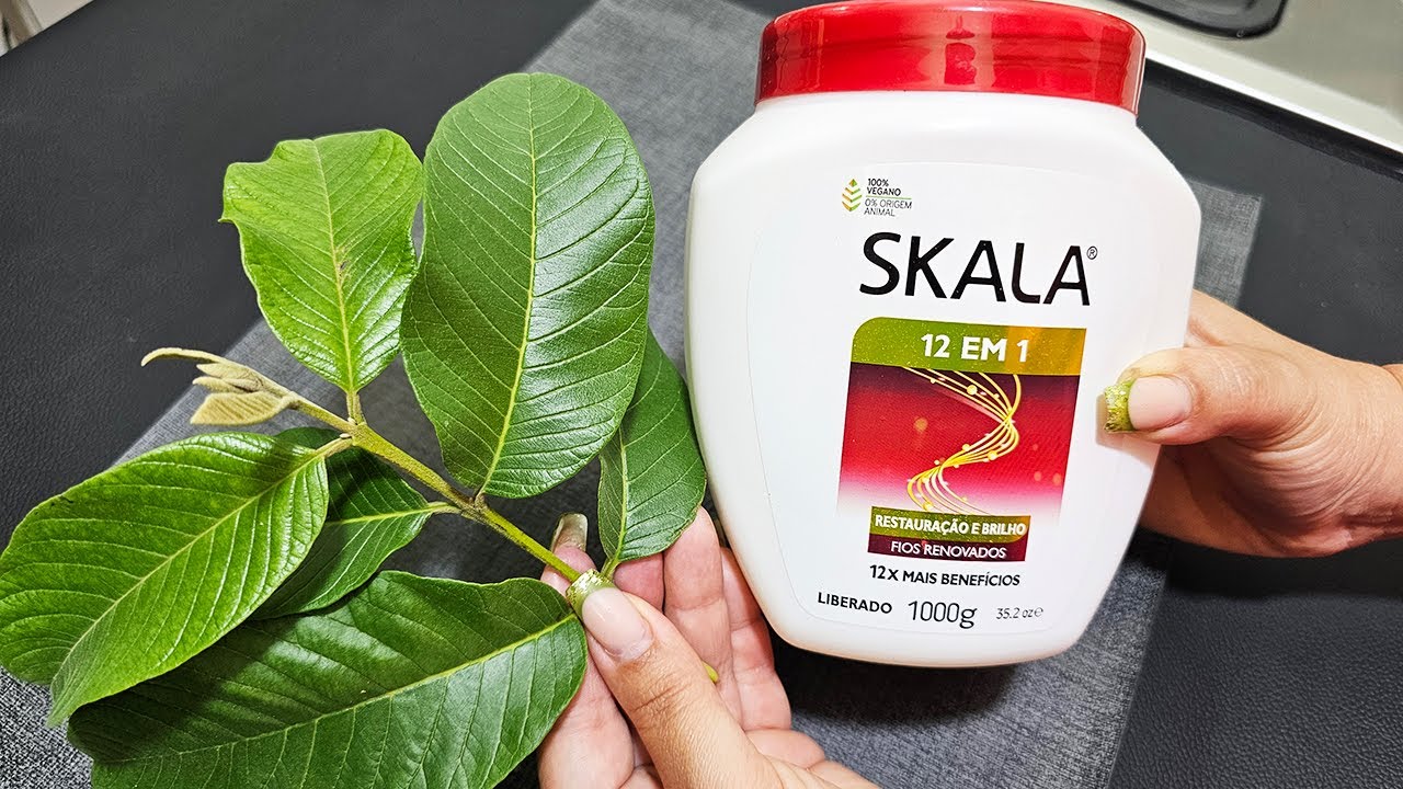 🟢 YOUR HAIR DOESN'T GROW? Try this HYDRATION WITH GUAVA LEAVES today 😍