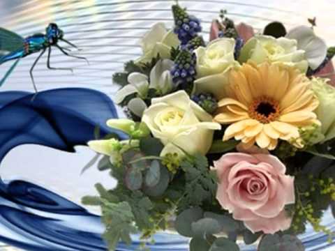 Wo meine sonne scheint