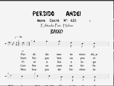 425-  PERDIDO  ANDEI    -    BAIXO