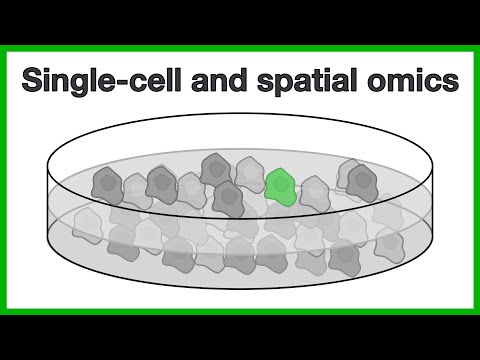 Single cell and spatial omics: A short introduction to the core concepts of scRNA-seq and more