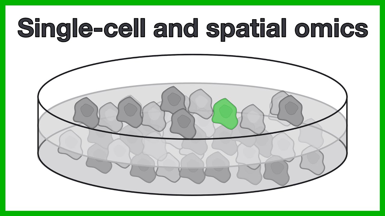 Single cell and spatial omics: A short introduction to the core concepts of scRNA-seq and more