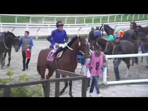 SINT MELO - HLP  07/9/2019