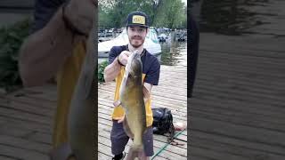 Grand River RiverKittys