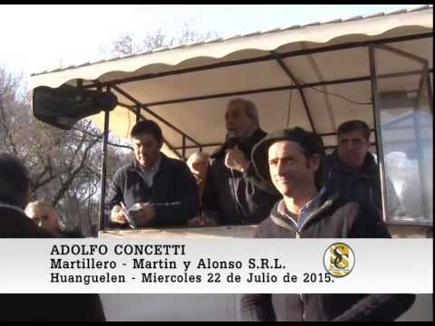 22-07-15 Nota Adolfo Concetti - Martin y Alonso S.R.L. - Huanguelen.