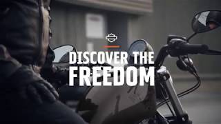 Discover The Freedom 