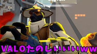 一か月まるまるFPSしてなかったVALOクリップｗｗｗ