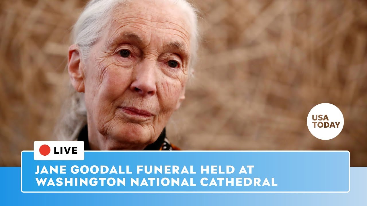Watch live: Jane Goodall funeral held at Washington National Cathedral in DC