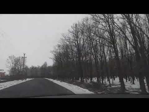 belfir calacea bihor(1)