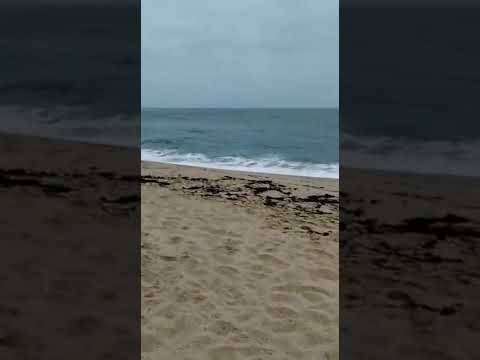 #malaysia #fyp #beach #beachlife #beaches #indonesia #europlife