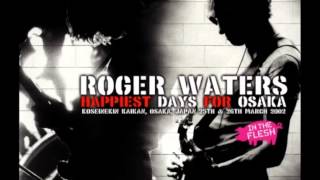 Roger Waters: Get Your Filthy Hands Off My Desert/Southampton Dock (2002)