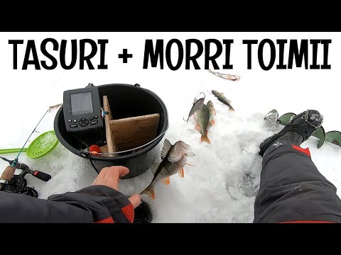 ERIKOISTEKNIIKKA AHVENEN PILKINTÄÄN - NENÄNNOKKA - OULUN KALAPAIKAT