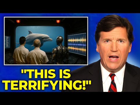 Scientists Just Decoded Language of the Dolphins Using AI... And It's Not What You Think