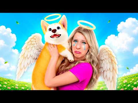 Do all Puppies go to Heaven?