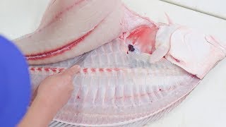 Fish Filleting - Local Pacific Halibut