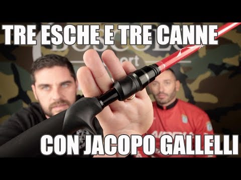 download lagu mp3 mp4 Bass In Italian, download lagu Bass In Italian gratis, unduh video klip Bass In Italian
