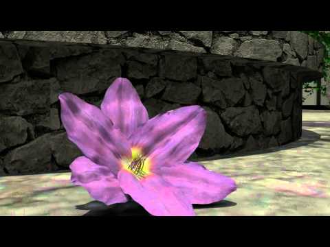 The INTRO INDUWARA 2013