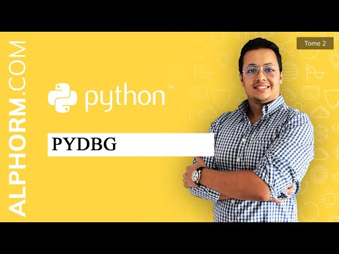 Formation Python pour les pentesteurs 2 2 | PyDBG