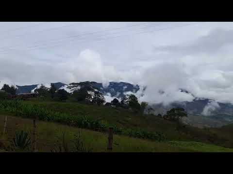 Piñal a dagua valle cauca colombia 