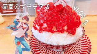 【Vlog】真夏のプチヲタ活！超行動的な1日