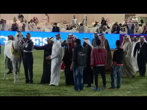 GOLD Champion KHALED AL HAMAD - KAAHC Championships 2015