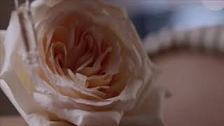 Download lagu Lady ninja kasumi 2 i mp3